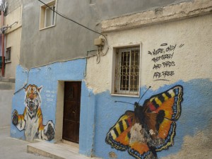 Butterfly graffitti on wall